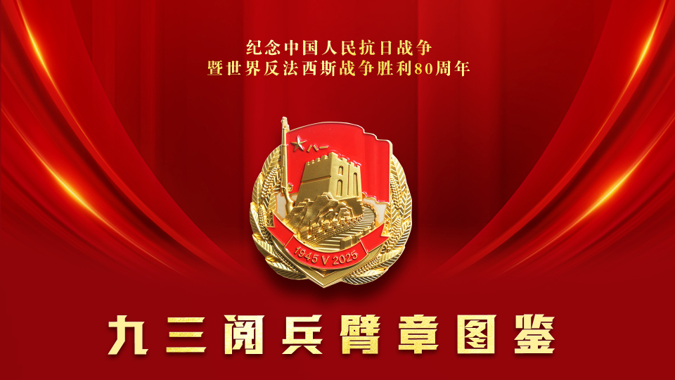 請收藏！九三閱兵臂章圖鑒