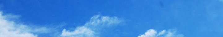 社會誠信誰來護(hù)？