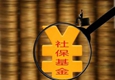 半年報(bào)露出社?；鸲径葎?dòng)向