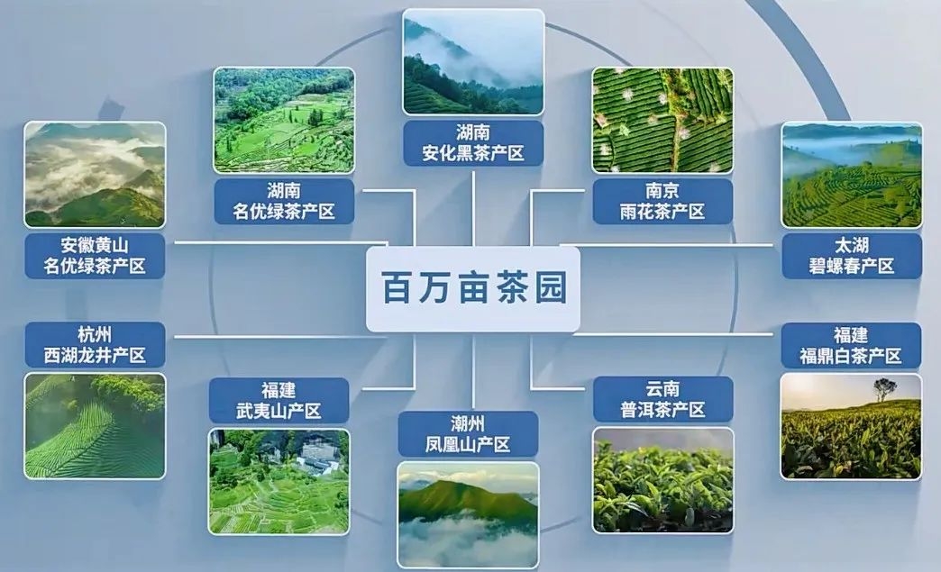 7月銀川這場(chǎng)盛會(huì)，或?qū)⒔沂鞠M(fèi)信心深層密碼