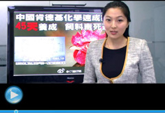 權(quán)威聲音：“快時(shí)代”究竟還有什么可以速成？