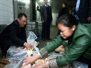 江西宰殺、冷凍積壓禽肉 緩解H7N9禽流感影響