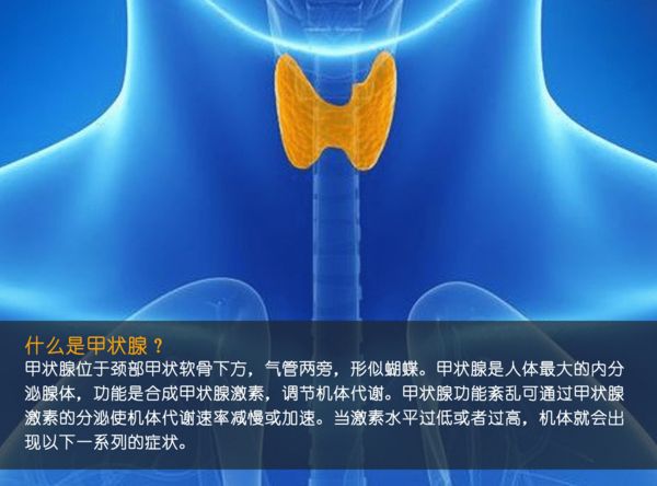 關(guān)注甲狀腺健康，你應(yīng)該知道的那些事
