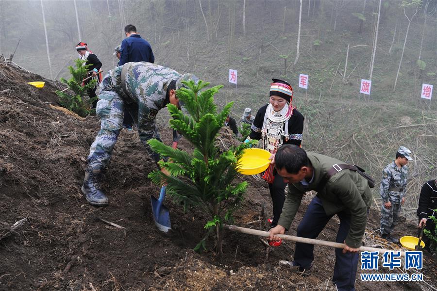 （圖文互動(dòng)）（6）和平年代，離死神最近的人——南部戰(zhàn)區(qū)陸軍云南掃雷大隊(duì)邊境掃雷排爆記事