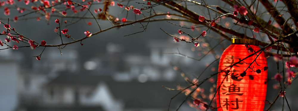 春來(lái)花開(kāi)，綻放正當(dāng)時(shí)