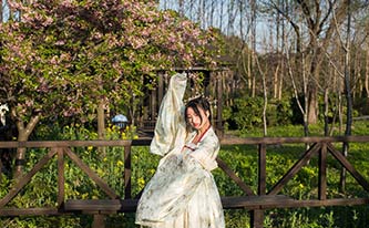 徜徉櫻花花海，來(lái)場(chǎng)動(dòng)漫之旅