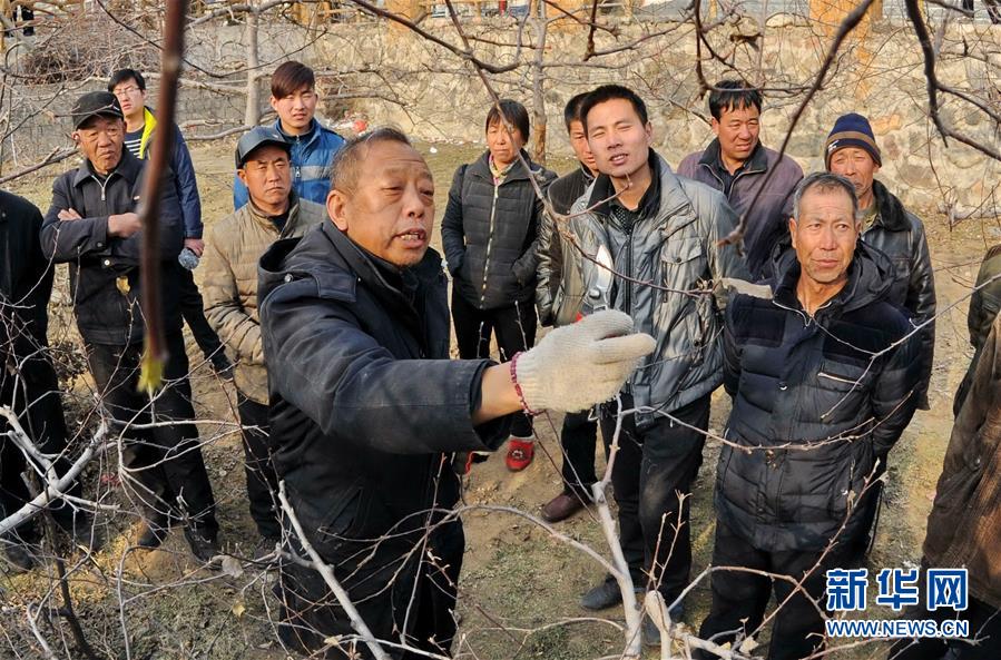（新華全媒頭條·十九大特別報(bào)道·圖文互動）（7）再塑黨的形象的偉大工程——中國共產(chǎn)黨自身建設(shè)的五年探索之路