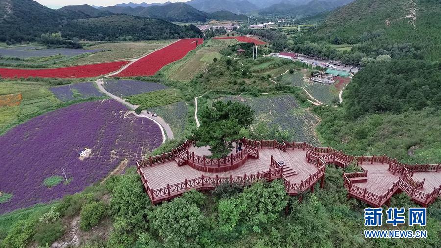 （十九大·讀報(bào)告 話(huà)民生）（10）加快生態(tài)文明體制改革，建設(shè)美麗中國(guó)