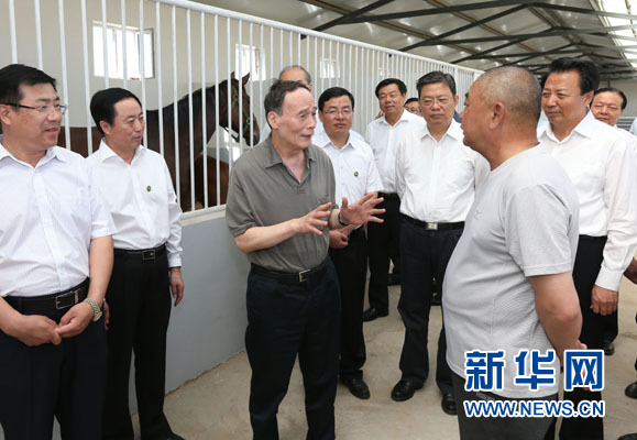 這是7月3日，王岐山在錫林浩特市義合良種馬繁育基地考察。新華社記者 龐興雷 攝