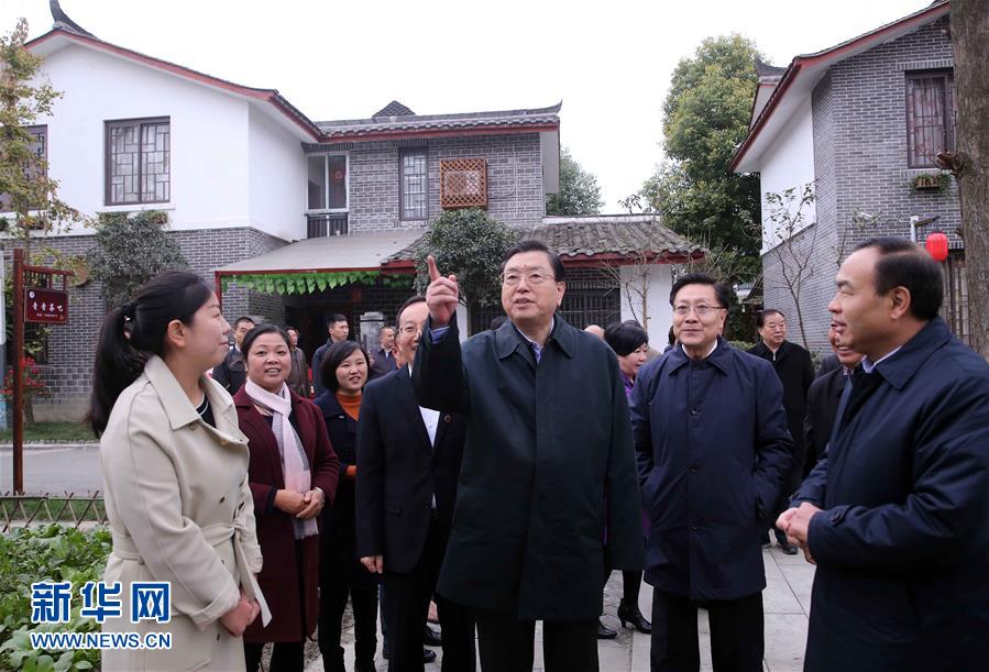 這是11月22日，張德江來到成都郫縣青杠樹村，了解村民委員會(huì)工作情況。 新華社記者 劉衛(wèi)兵 攝 