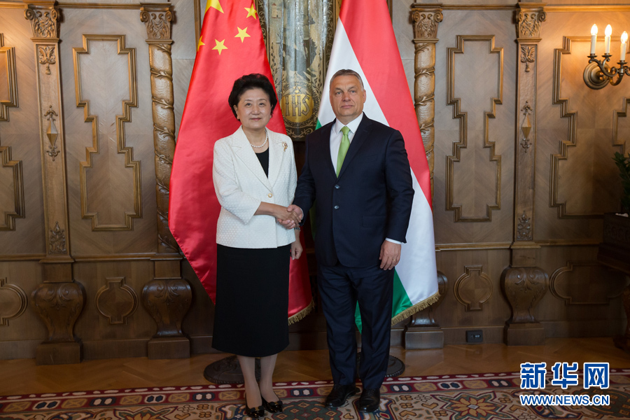  6月21日，國務(wù)院副總理劉延?xùn)|（左）在匈牙利布達(dá)佩斯國會大廈會見匈牙利總理歐爾班。 新華社發(fā)（弗爾季·奧蒂洛攝）