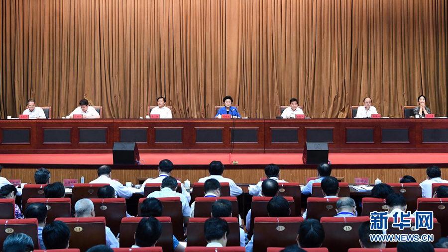 6月25日，全國(guó)民族團(tuán)結(jié)進(jìn)步創(chuàng)建經(jīng)驗(yàn)交流現(xiàn)場(chǎng)會(huì)在內(nèi)蒙古興安盟召開，中共中央政治局委員、國(guó)務(wù)院副總理劉延?xùn)|出席會(huì)議并講話。 新華社記者 陳曄華 攝