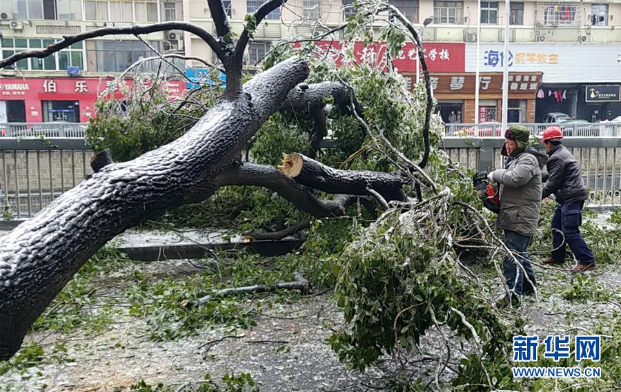 （新華全媒頭條）（7）雨雪冰凍中，他們奮力前行——基層黨員干群抗擊冰雪災害紀實