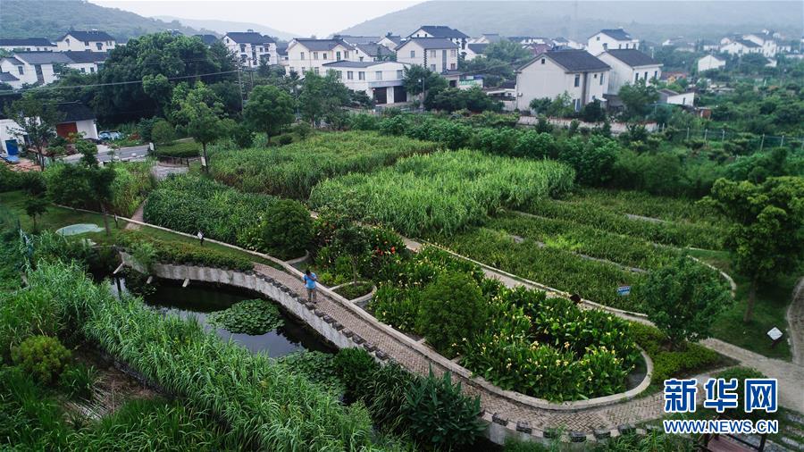 （在習(xí)近平新時(shí)代中國特色社會(huì)主義思想指引下——新時(shí)代新作為新篇章·圖文互動(dòng)）（1）稀奇！治污濕地成了休閑公園——江蘇蘇州全域推進(jìn)農(nóng)村生活污水治理