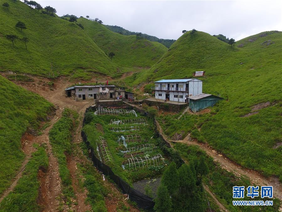 （新華全媒頭條·圖文互動(dòng)）（3）一個(gè)人，一座山——劉真茂的生命守望