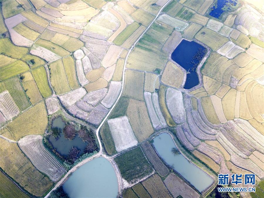 （新華全媒頭條·壯闊東方潮　奮進(jìn)新時代——慶祝改革開放40年·圖文互動）（2）小崗，與時代同行——“中國農(nóng)村改革第一村”40年變遷的改革啟示