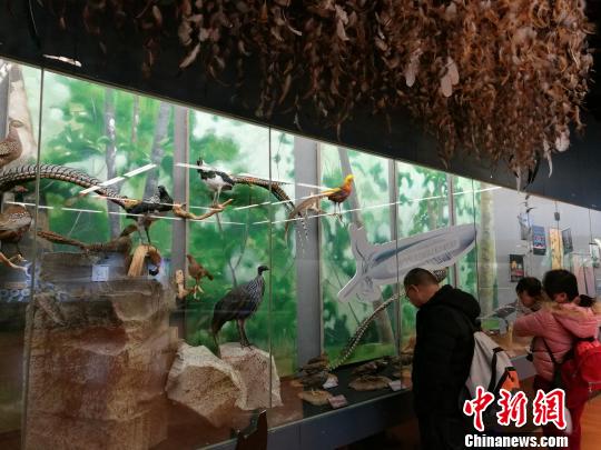 圖為展覽現(xiàn)場。　胡遠(yuǎn)航 攝