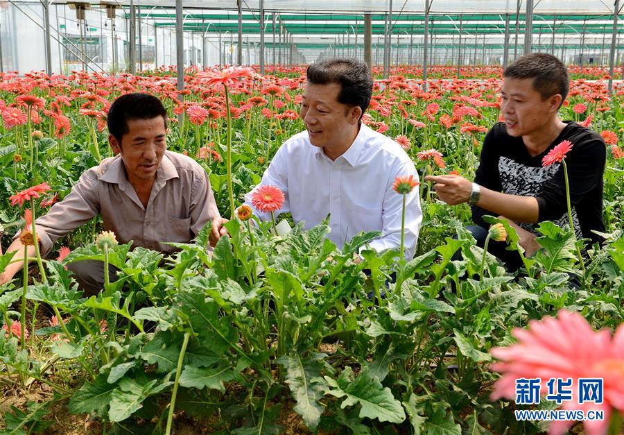 （新華全媒頭條·愛國情 奮斗者·圖文互動）（8）致敬，為祖國獻(xiàn)身的英雄！