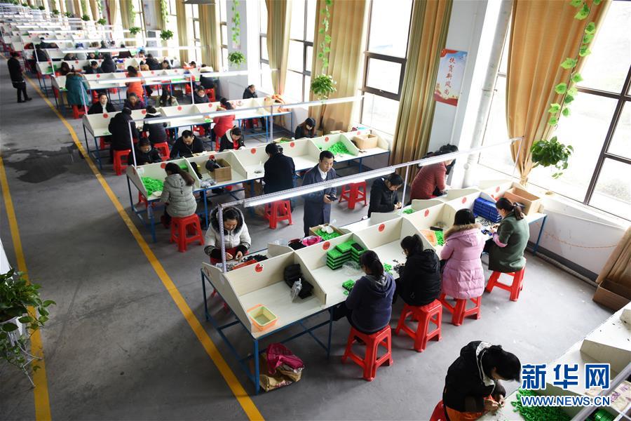 （在習(xí)近平新時(shí)代中國(guó)特色社會(huì)主義思想指引下——新時(shí)代新作為新篇章·圖文互動(dòng)）（5）“搬遷到哪里，服務(wù)就延伸到哪里”——貴州推進(jìn)易地扶貧搬遷“后半篇文章” 