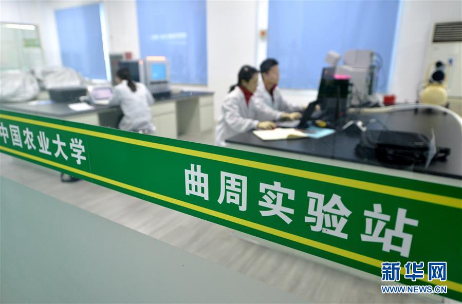 （愛(ài)國(guó)情 奮斗者·圖文互動(dòng)）（3） “解民生之多艱，育天下之英才”——中國(guó)農(nóng)大師生扎根田野書寫奉獻(xiàn)之歌