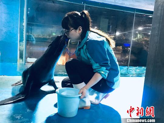 于雅麗與海獅親密瞬間?！“瑧c龍 攝