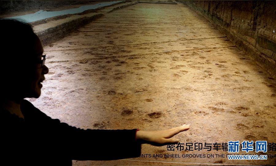 （新華全媒頭條·圖文互動）（6）“若問古今興廢事，請君只看洛陽城”——千年古都“烹制”博物館盛宴