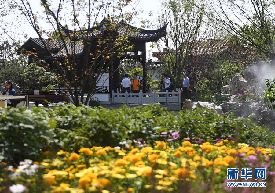 （新華全媒頭條·圖文互動）（2）天人合一、咫尺乾坤：蘇州園林的東方魅力
