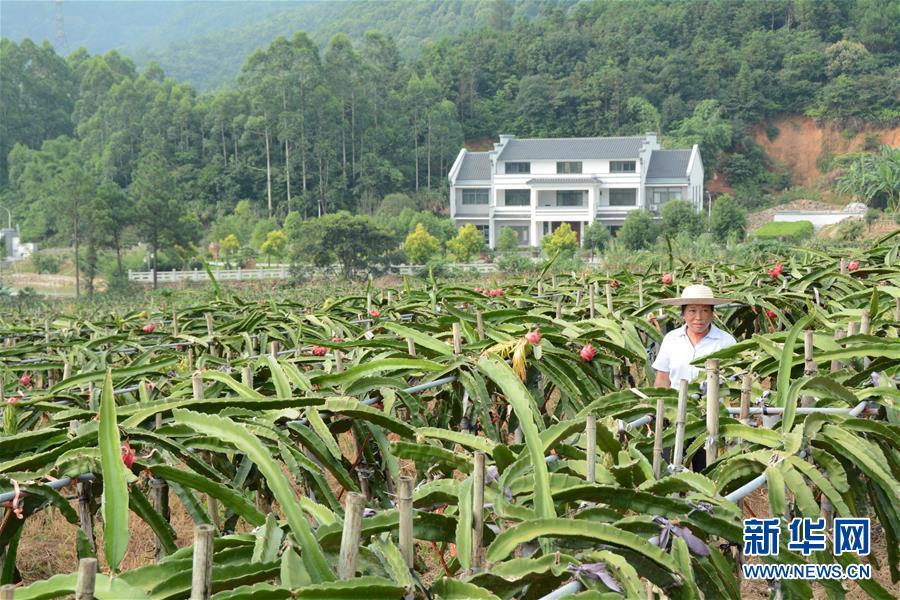 （在習(xí)近平新時代中國特色社會主義思想指引下——新時代新作為新篇章·總書記關(guān)心的百姓身邊事·圖文互動）（6）大污染變身“大寶藏”：治理畜禽糞污，他們這樣干！