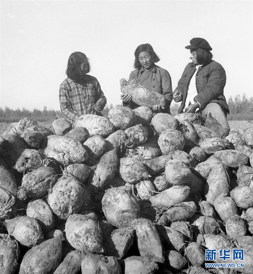 （圖文互動(dòng)）（2）為了“中國(guó)號(hào)”巨輪揚(yáng)帆遠(yuǎn)航——中國(guó)共產(chǎn)黨領(lǐng)導(dǎo)下的人民軍隊(duì)忠于祖國(guó)、服務(wù)人民啟示錄