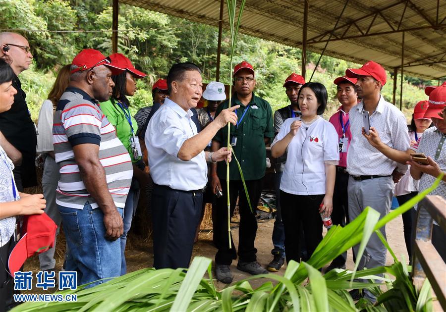 （不忘初心、牢記使命·圖文互動）（5）拳拳寸草心 濃濃報國情——記“菌草之父”林占熺