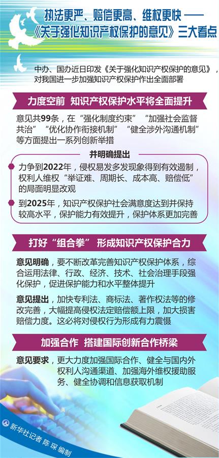 （圖表）[新華調(diào)查]執(zhí)法更嚴(yán)、賠償更高、維權(quán)更快——《關(guān)于強(qiáng)化知識(shí)產(chǎn)權(quán)保護(hù)的意見(jiàn)》三大看點(diǎn)