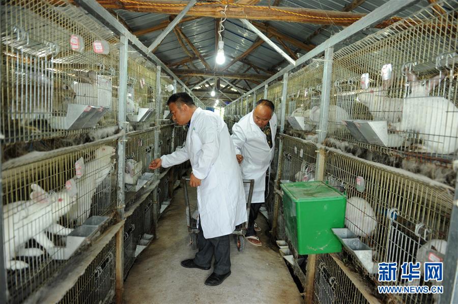 （新華全媒頭條·圖文互動）（4）干部去哪兒了？——貴州干部大規(guī)模下沉脫貧攻堅一線紀(jì)實