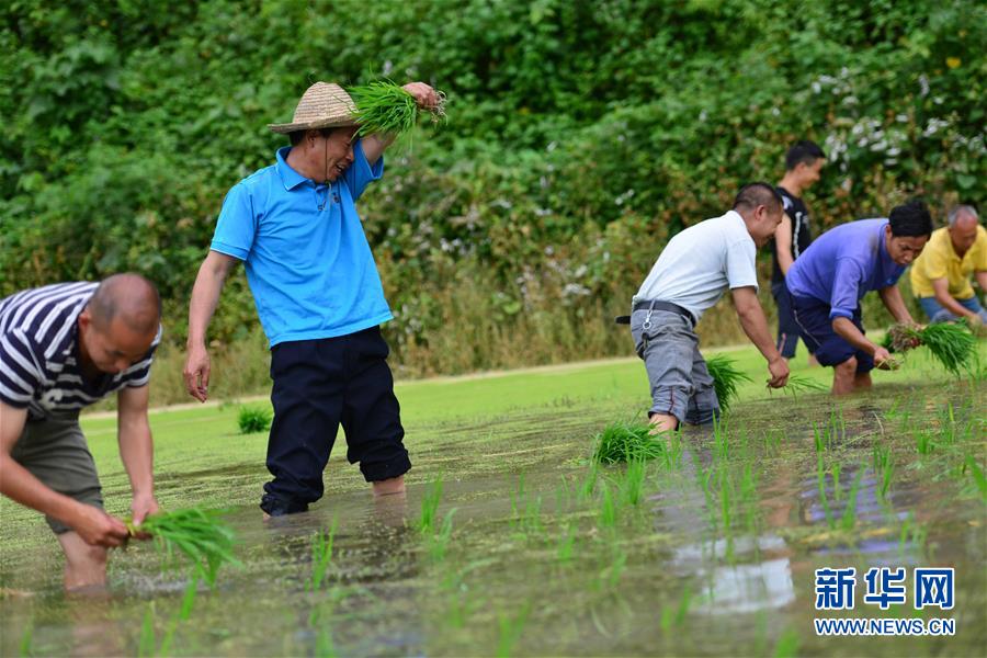 （新華全媒頭條·圖文互動）（8）干部去哪兒了？——貴州干部大規(guī)模下沉脫貧攻堅一線紀(jì)實