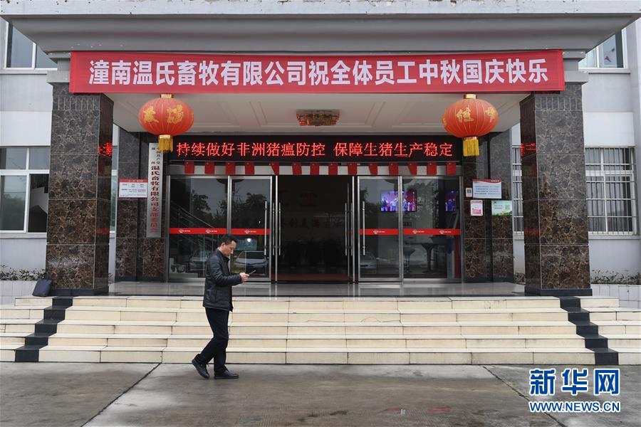 （在習(xí)近平新時(shí)代中國(guó)特色社會(huì)主義思想指引下——新時(shí)代新作為新篇章·總書(shū)記關(guān)切高質(zhì)量發(fā)展·圖文互動(dòng)）（1）穩(wěn)住“一頭豬”、供好“一袋米”、配好“一籃菜