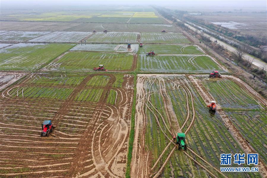 （抓好春耕備耕 穩(wěn)住農(nóng)業(yè)生產(chǎn)·圖文互動(dòng)）（2）智能農(nóng)機(jī)、“訂單”服務(wù)、“云端”種菜——來(lái)自江西的春耕“新事”