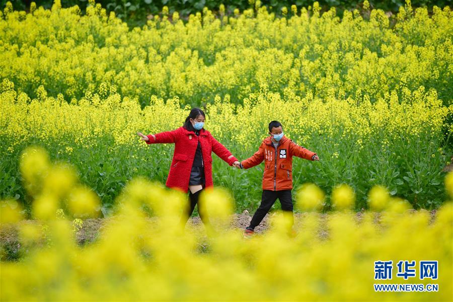 （決戰(zhàn)決勝脫貧攻堅(jiān)·圖文互動(dòng)）（4）特寫(xiě)：疫情下的一堂特殊送教上門課
