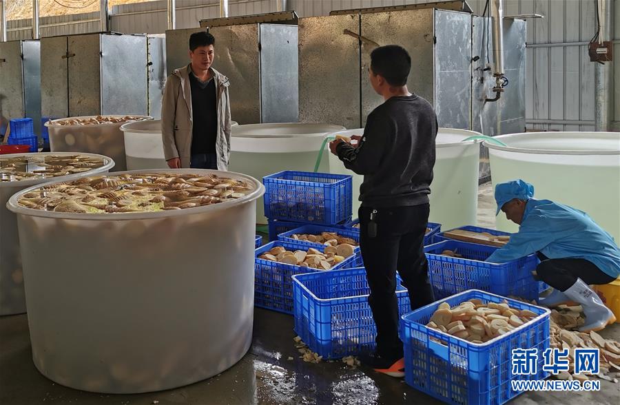 （決戰(zhàn)決勝脫貧攻堅·圖文互動）掛牌督戰(zhàn)，一個都不能少——江西確保剩余9.6萬貧困人口全部脫貧