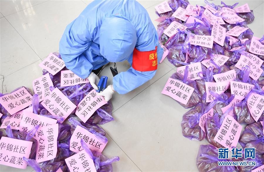 （習(xí)近平致敬的戰(zhàn)“疫”英雄·志愿者篇·圖文互動）（11）他們，微光成炬照征程