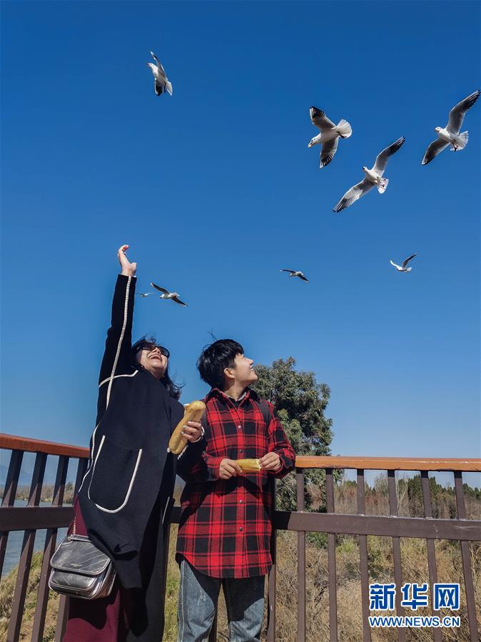 （一線抗疫群英譜·圖文互動(dòng)）（1）大學(xué)生志愿者譚藝西：在武漢，我和媽媽共戰(zhàn)“疫”