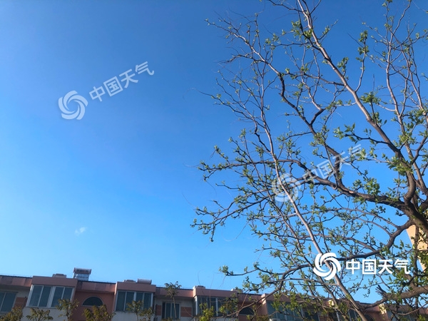 陣風8級！北京遭遇雨后大降溫 北風勁吹需添衣