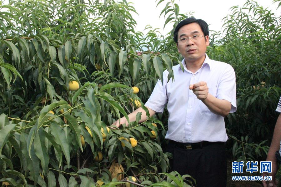 （圖文互動(dòng)）（2）“為脫貧而來，為脫貧而去”——追記湖南炎陵縣委原書記黃詩燕 