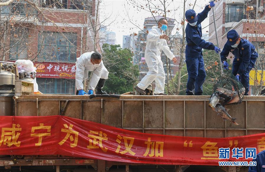 （新華全媒頭條·圖文互動）（12）從人民中汲取磅礴力量——習近平總書記同出席2020年全國兩會人大代表、政協(xié)委員共商國是紀實