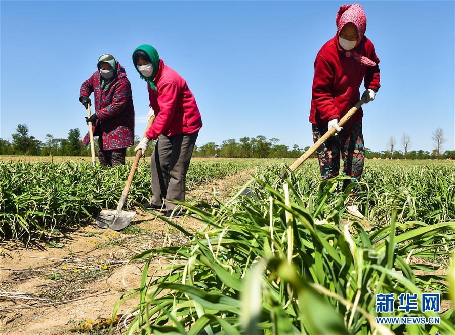 （新華全媒頭條·圖文互動）（17）從人民中汲取磅礴力量——習近平總書記同出席2020年全國兩會人大代表、政協(xié)委員共商國是紀實