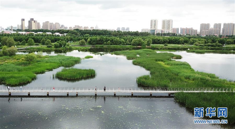 （走向我們的小康生活·圖文互動）（1）水清、地綠、空氣新——最北省份黑龍江繪就生態(tài)治理新畫卷