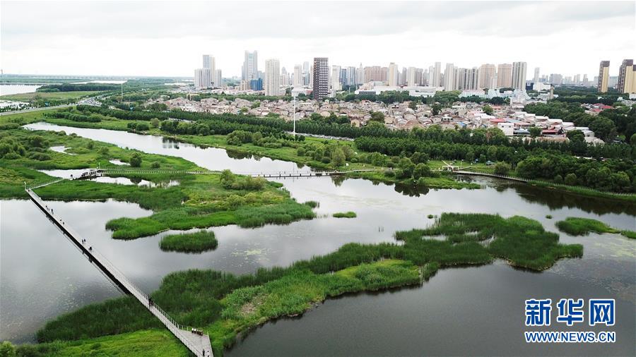 （走向我們的小康生活·圖文互動）（2）水清、地綠、空氣新——最北省份黑龍江繪就生態(tài)治理新畫卷