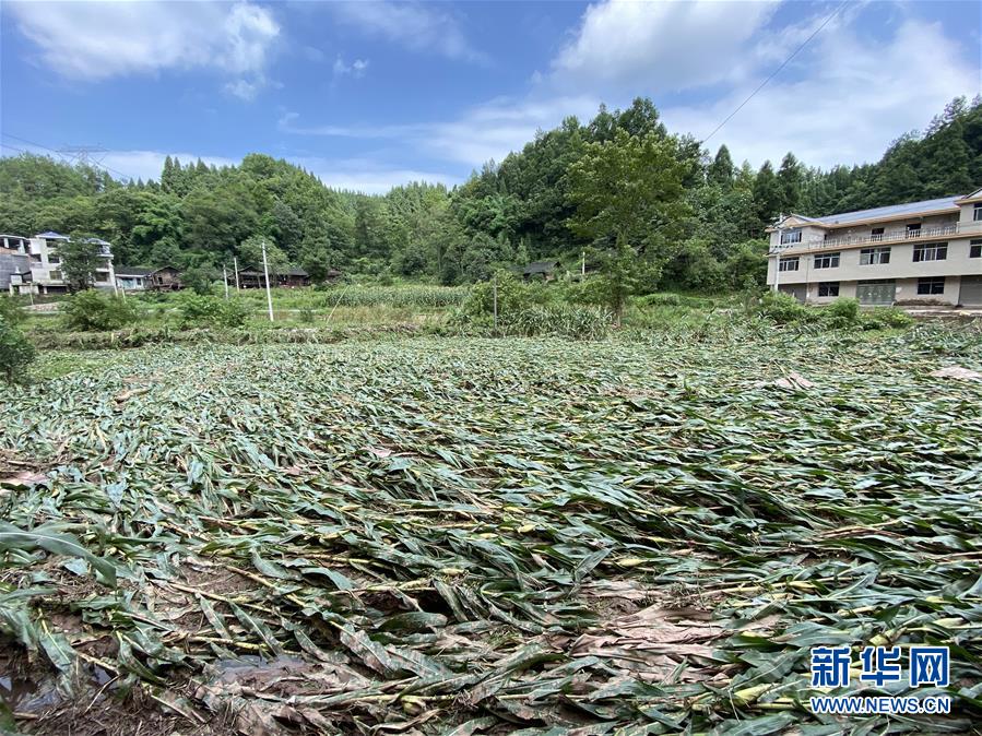（防汛抗洪·圖文互動）（4）山洪襲來前，澧水河畔大轉(zhuǎn)移