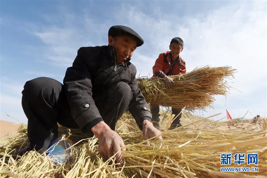 （在習(xí)近平新時代中國特色社會主義思想指引下——新時代新作為新篇章·習(xí)近平總書記關(guān)切事·圖文互動）（5）綠色映底蘊，山水見初心——生態(tài)優(yōu)先、綠色發(fā)展持續(xù)造福群眾美好生活
