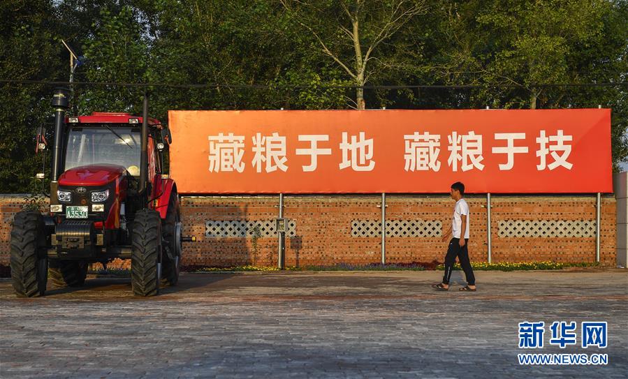 （在習近平新時代中國特色社會主義思想指引下——新時代新作為新篇章·習近平總書記關切事·圖文互動）（3）為黑土加“油”——“耕地中的大熊貓”，我們這樣保護
