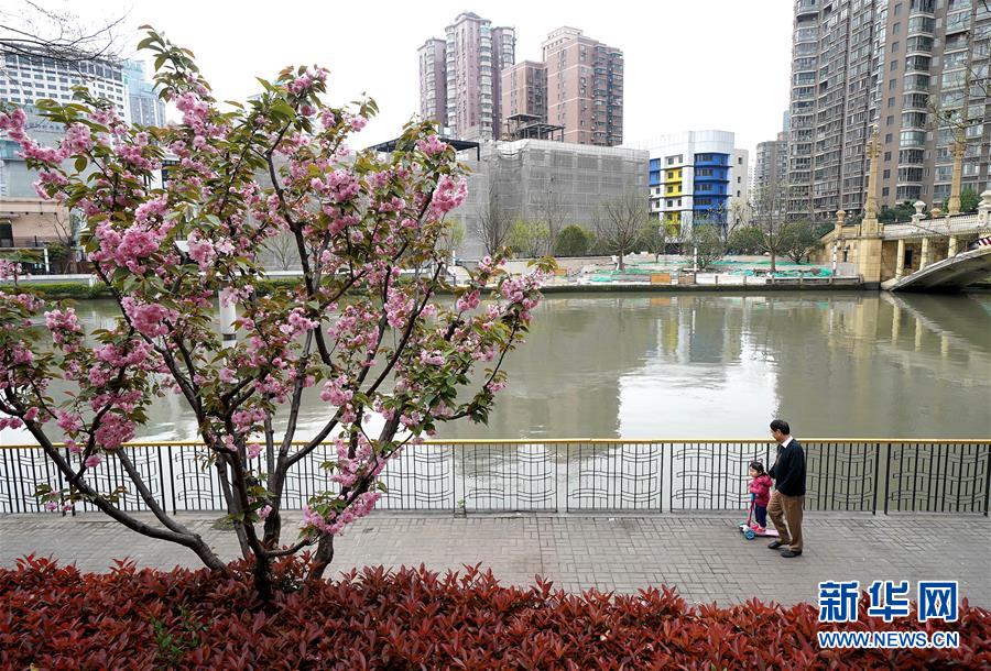 （新華全媒頭條·走向我們的小康生活·圖文互動）（12）城市，讓人民生活更美好