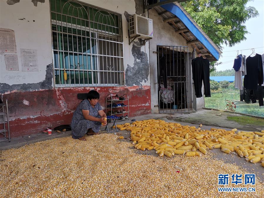 （新華視點(diǎn)·聚焦餐桌外的浪費(fèi)·圖文互動）（3）農(nóng)戶儲糧損失達(dá)8%！設(shè)施普遍簡陋，蟲害霉變堪憂